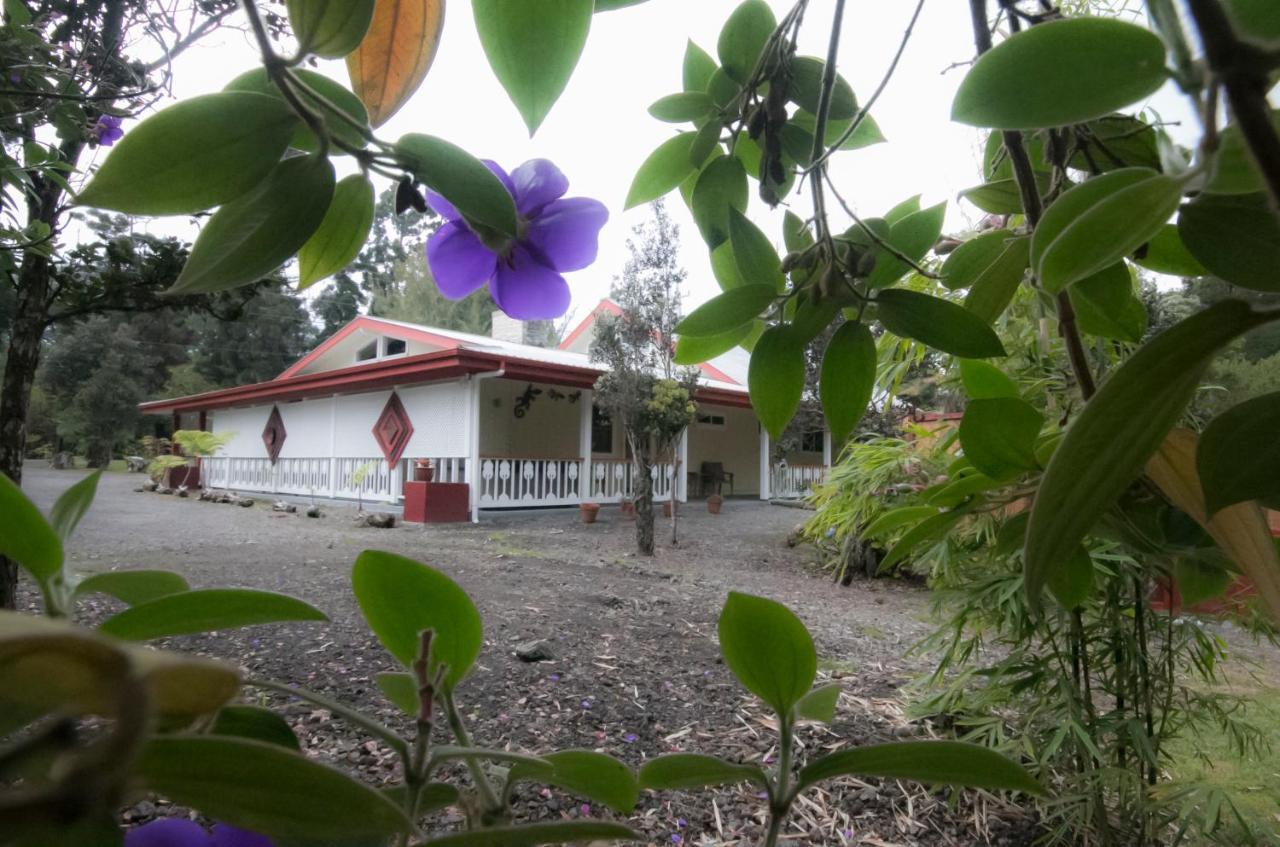 וולקנו Lokahi Lodge מראה חיצוני תמונה