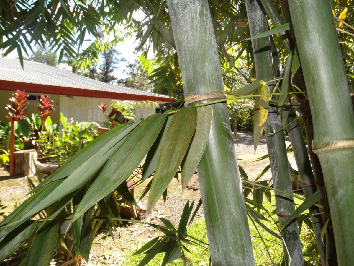 וולקנו Lokahi Lodge מראה חיצוני תמונה