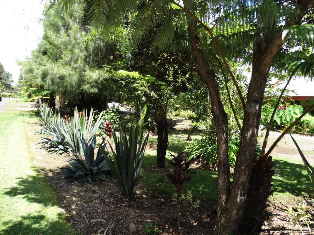 וולקנו Lokahi Lodge מראה חיצוני תמונה